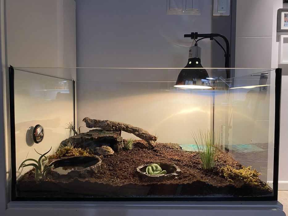 Terrarium akwarium dla żółwia lub innego zwierzątka