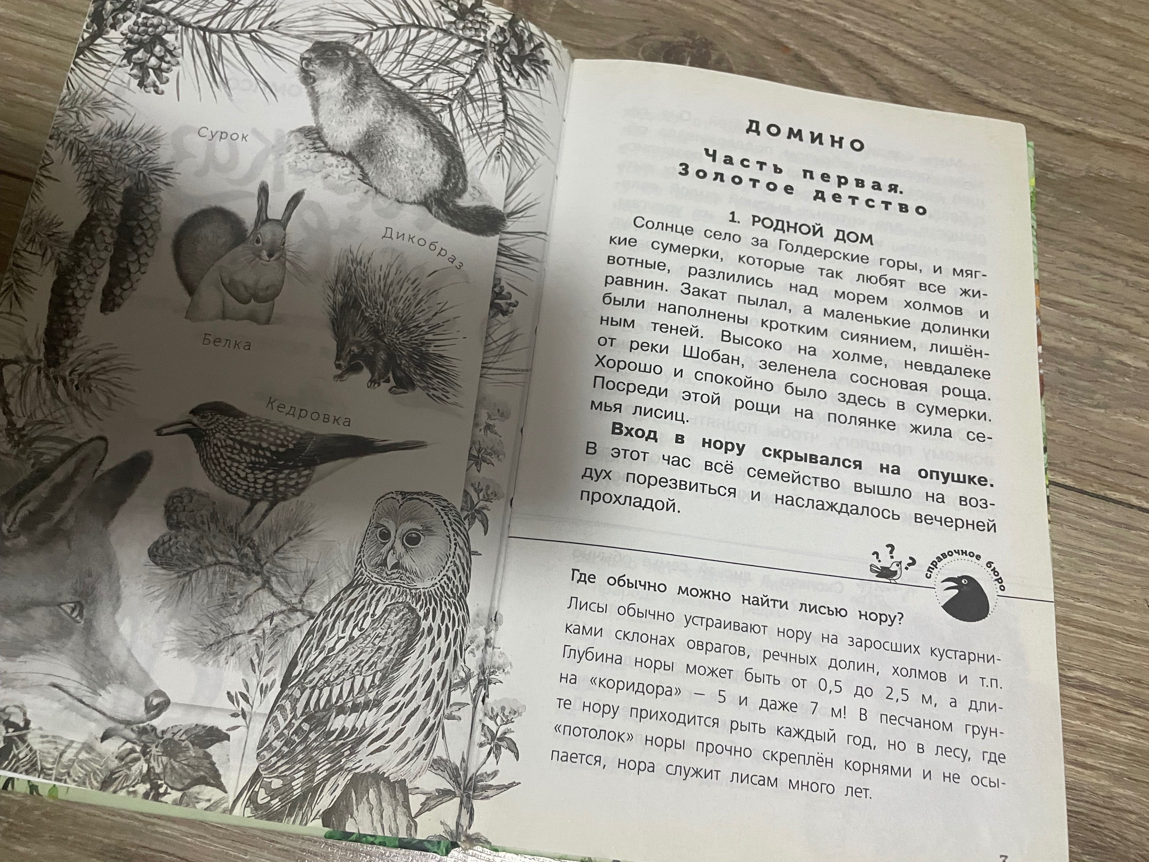 Книги детские -Рассказы о животных , история одной маленькой улитки тд