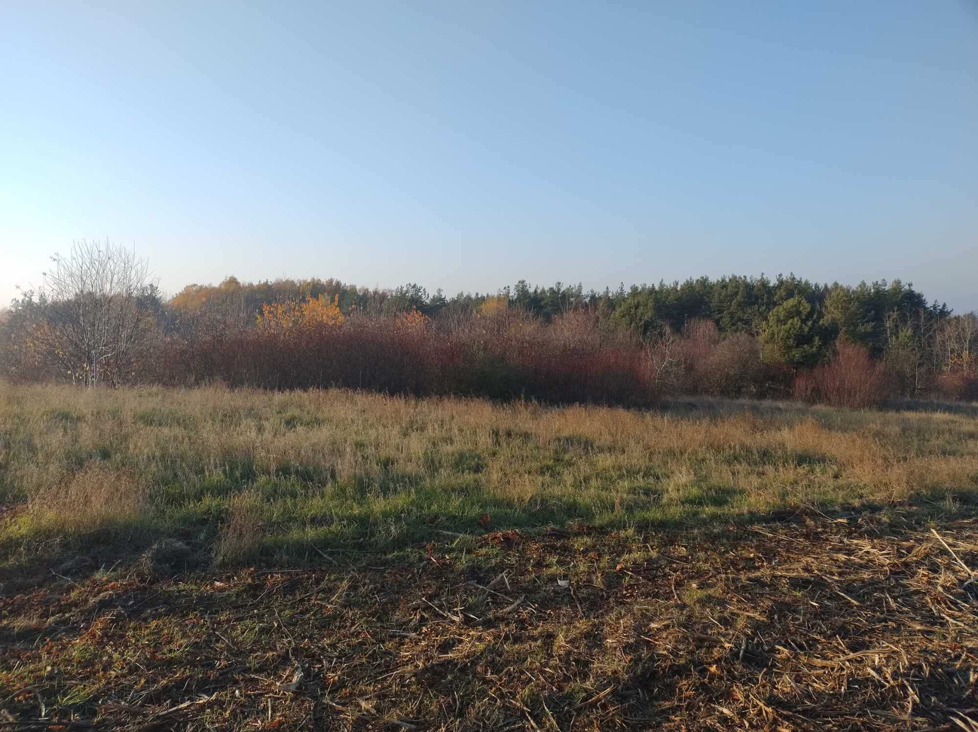 Sprzedam WIDOKOWĄ DZIAŁKĘ w Olkuszu