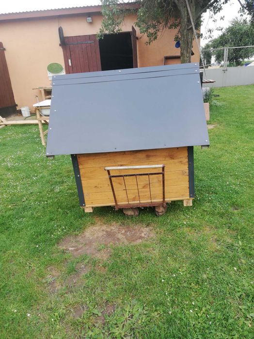 Sprzedam dużą ładna buda dla psa