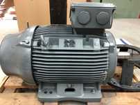 Silnik elektryczny WEG W22 55kW