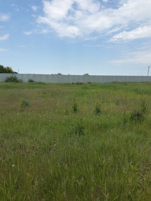 Продаж земельної ділянки під садівництво Біла Церква..