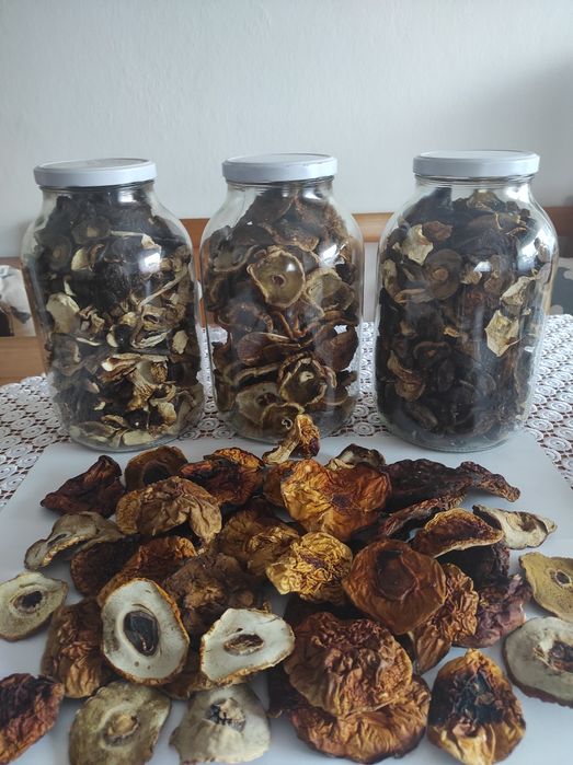 Suszone prawdziwki oraz podgrzybki