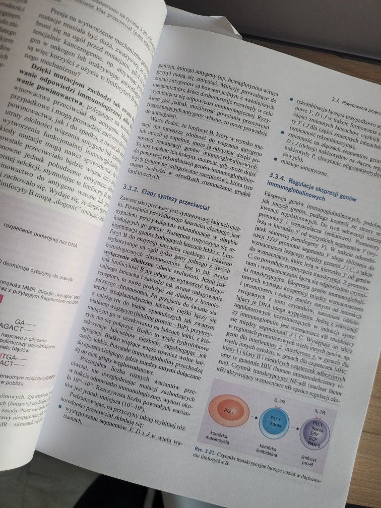 Immunologia Gołąb
