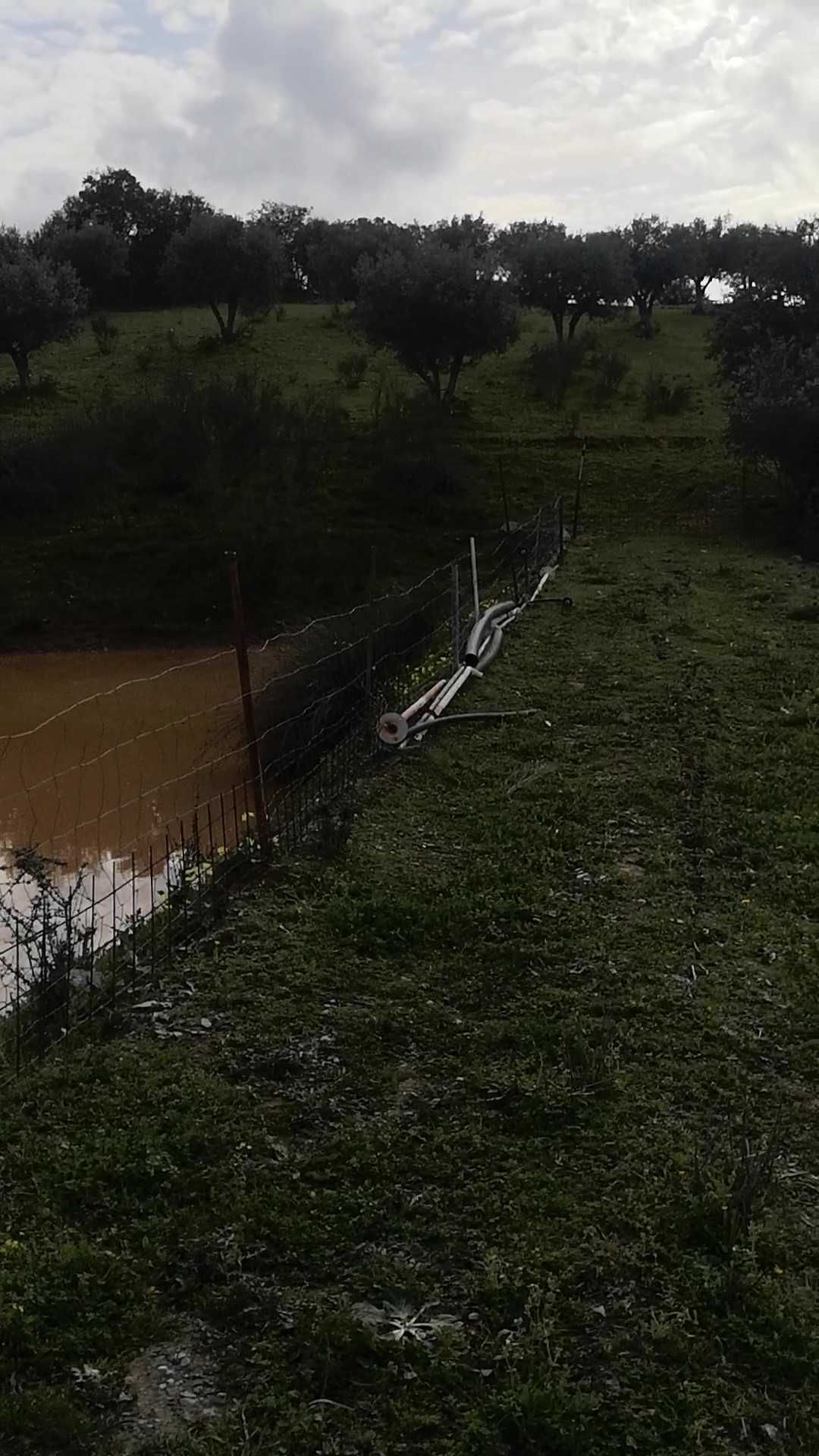 Venda de Quinta no Alentejo