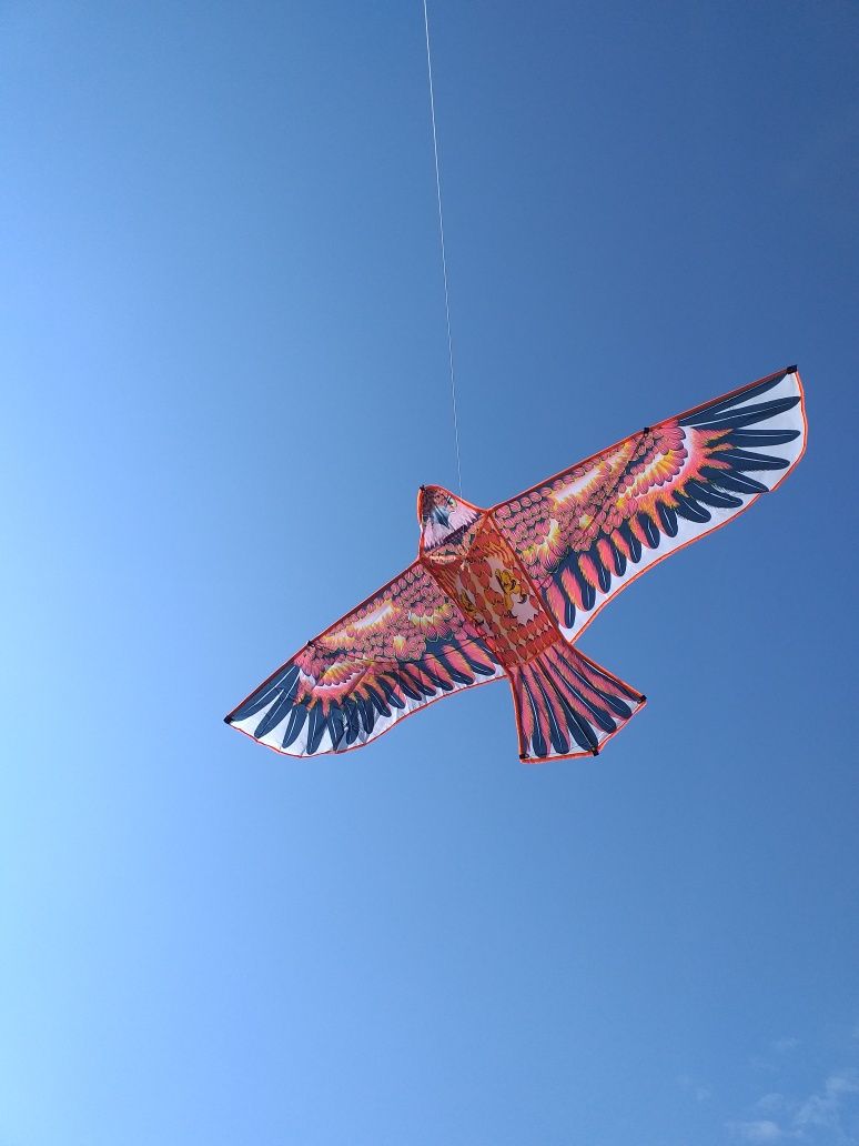 Змей воздушный 4 шт Сокол Орел гигант 143 см размах крыльев