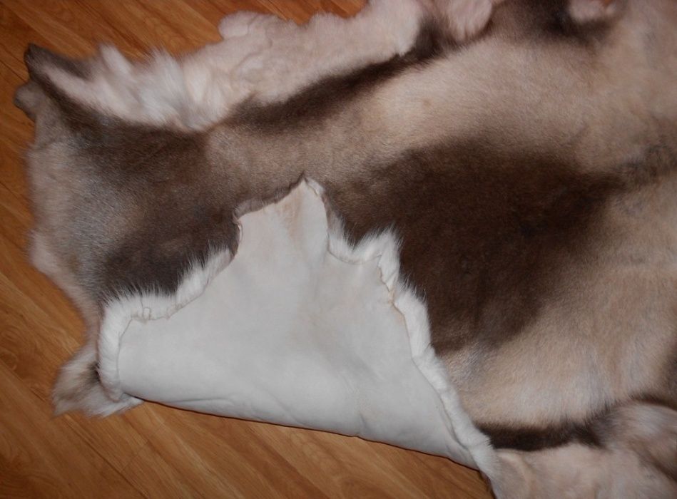 Олень, шкура з оленя, шкура диких тварин