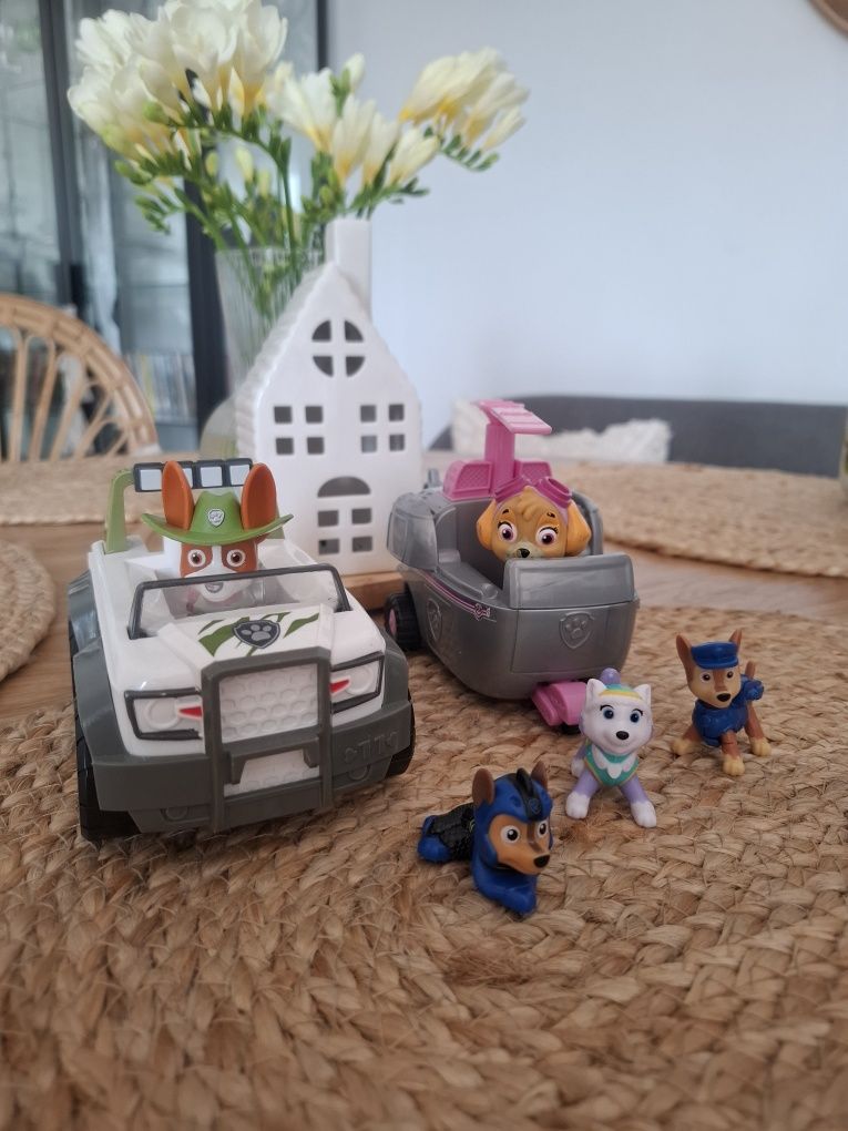 Psi patrol Skye Chase