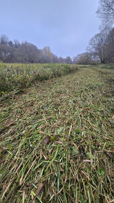 Usługi koszenia/karczowania mulczerem/kosiarką bijakową
