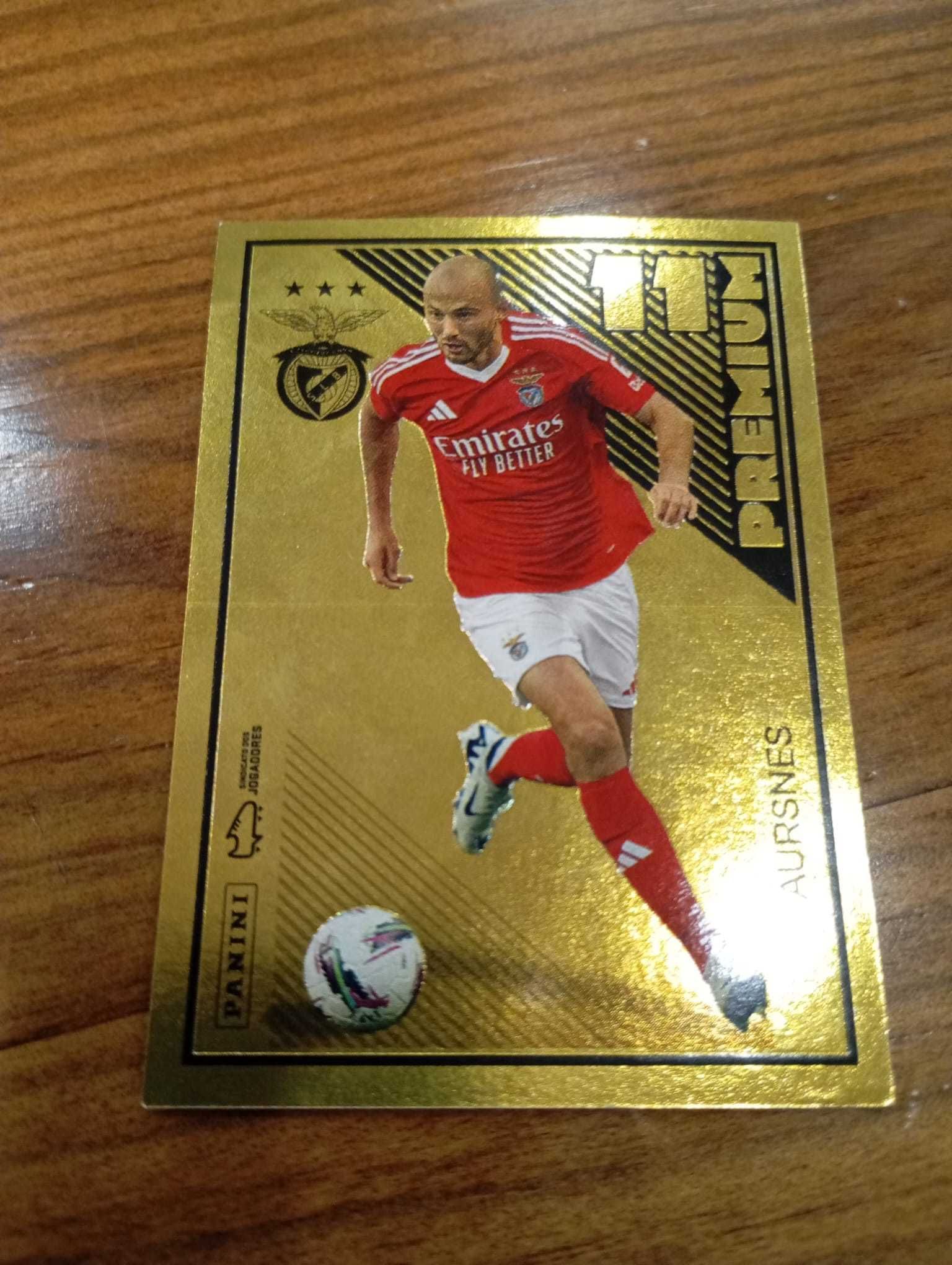 carta panini época 24/25 AURSNES PREMIUM