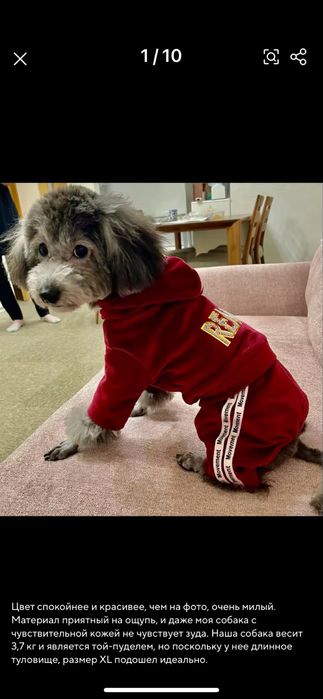 Одяг для собак , комбінезон, костюм