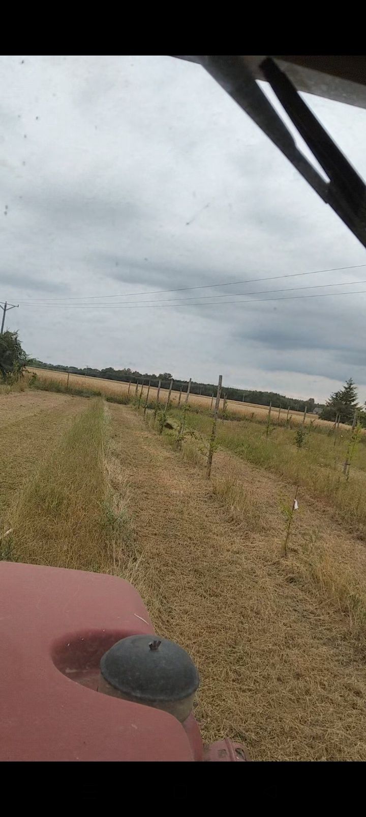 Koszenie działek Mulczowanie nieużytków  łąk zakrzaczenia ziemia torfo