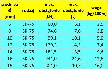 Zjazd linowy. Tyrolka. Prezent na Dzień Dziecka