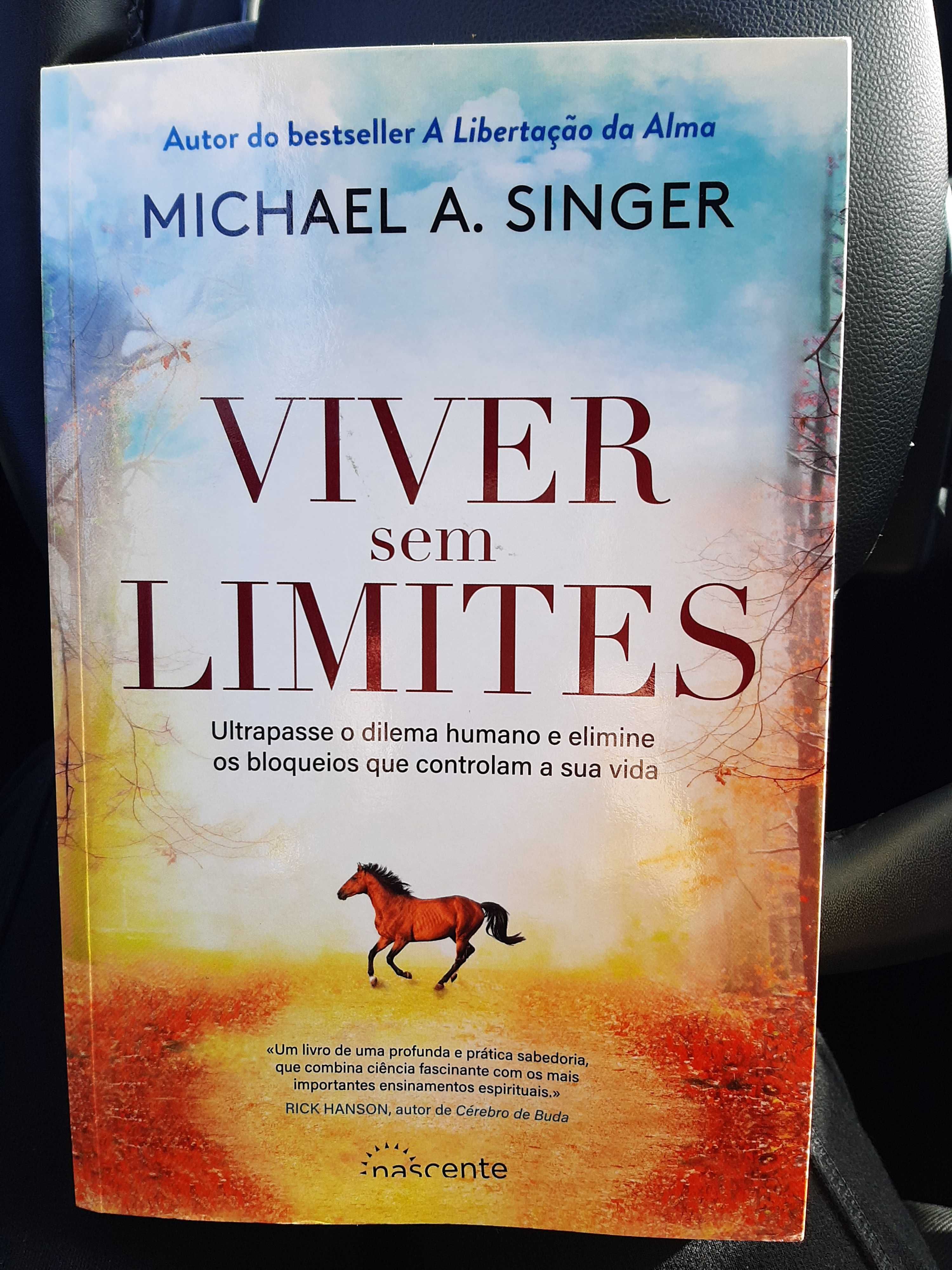 Viver sem limites de Michael A. Singer