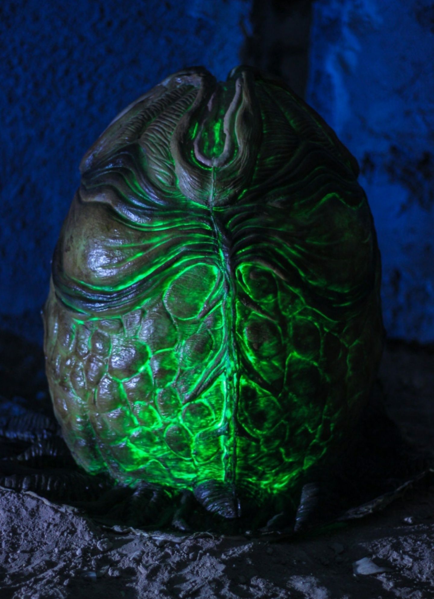 Ovo Alien Réplica Premium