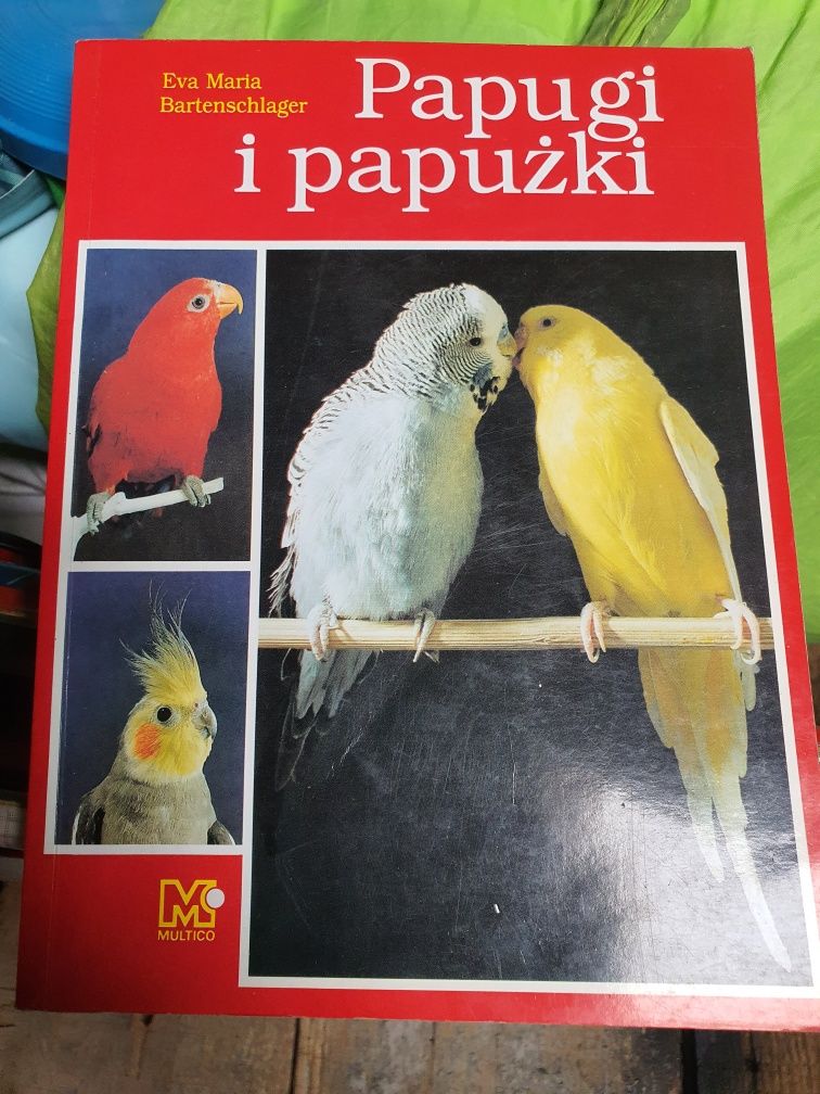 Papugi i papużki