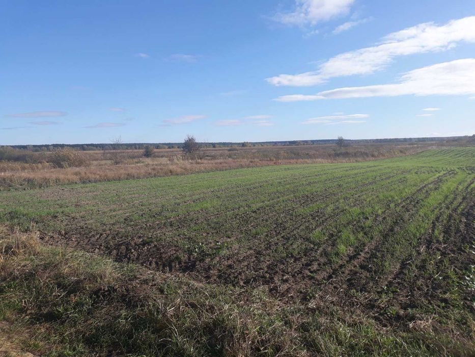 Земельна ділянка. Власник.