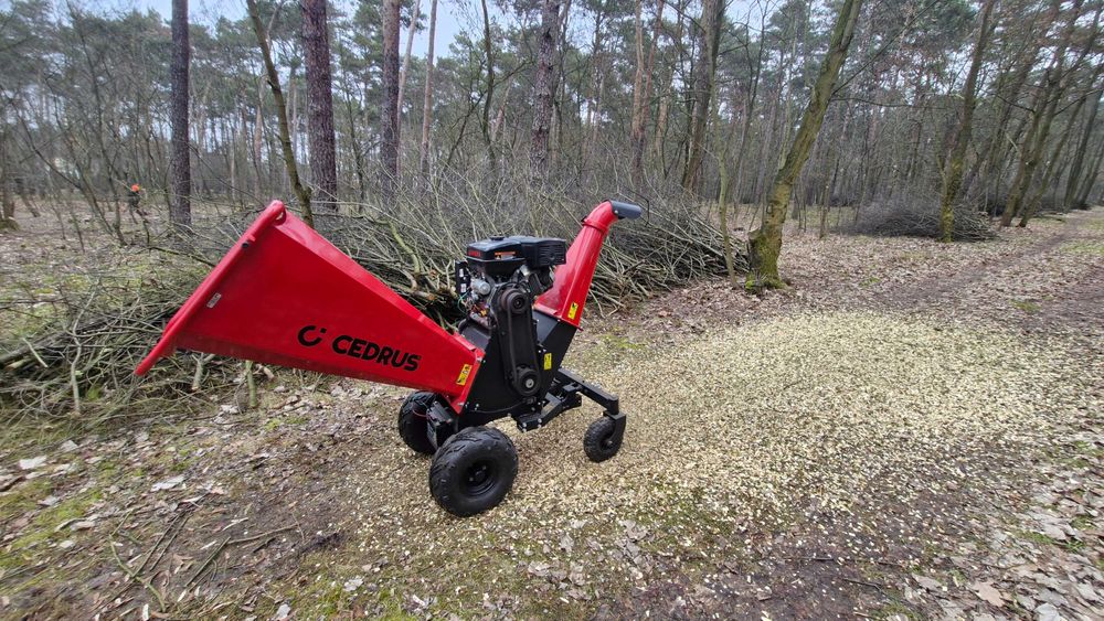 Karczowanie terenu Wyrywnie korzeni Koszenie nieużytkówUsługi rębakiem