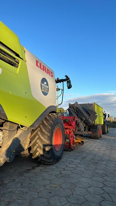 Koszenie kukurydzy claas lexion 750 4x4, lexion 770Tt