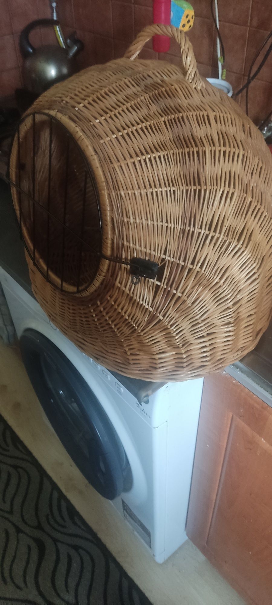 Kosz dla kota wielka promocja na kosza