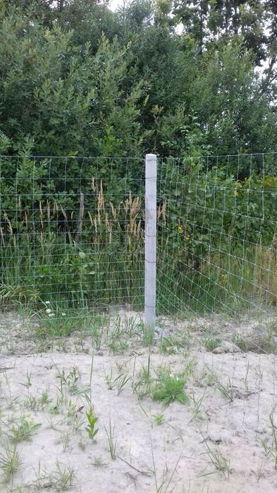 Стовпчики бетонні (столбики бетонные)сітка рябиця