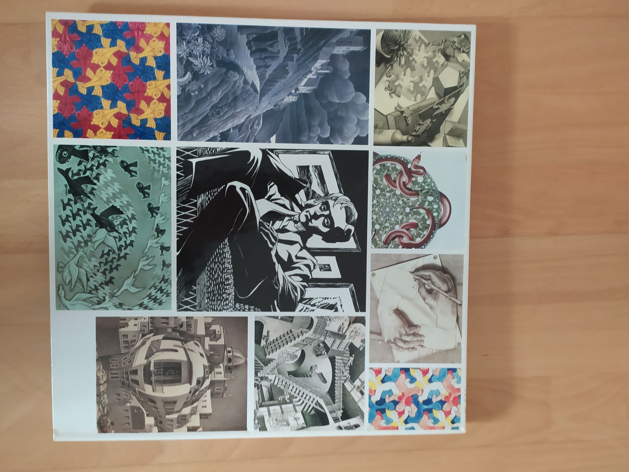Livro ilustrado MC Escher