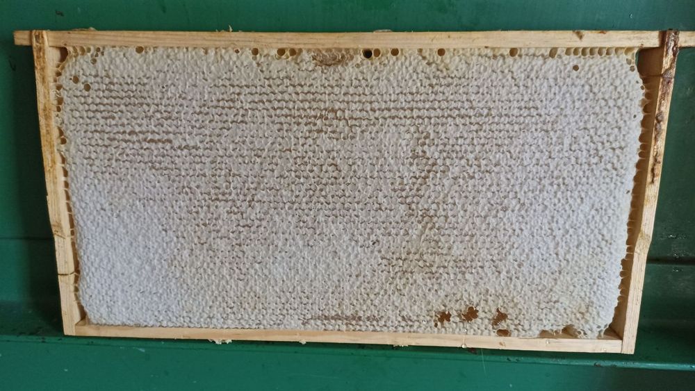 Мед 2025 року із своєї пасіки