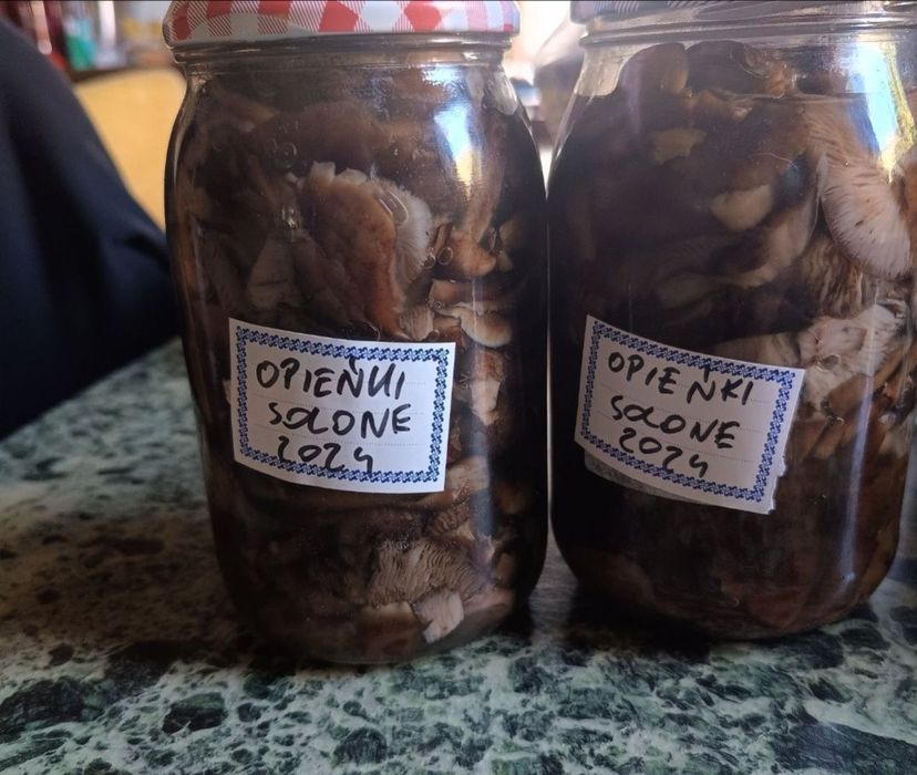 Opieńki solone 1l