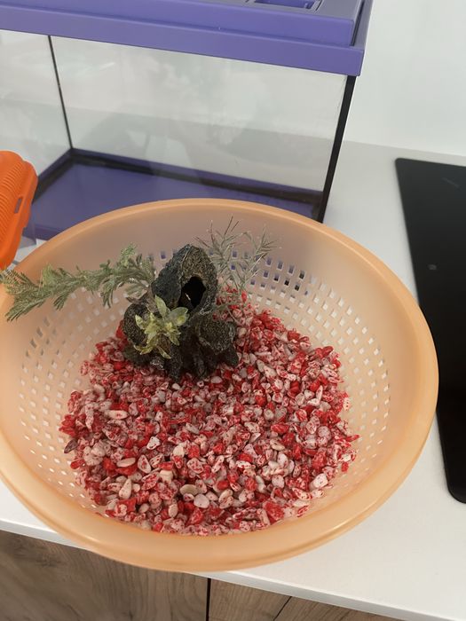 Aquario com acessorios