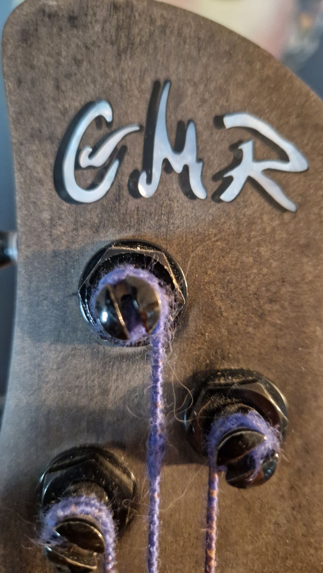 Bas GMR V fretless
