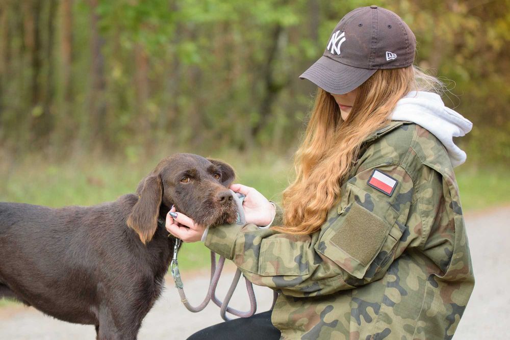 RANGER - w typie wyżeł, dla aktywnych