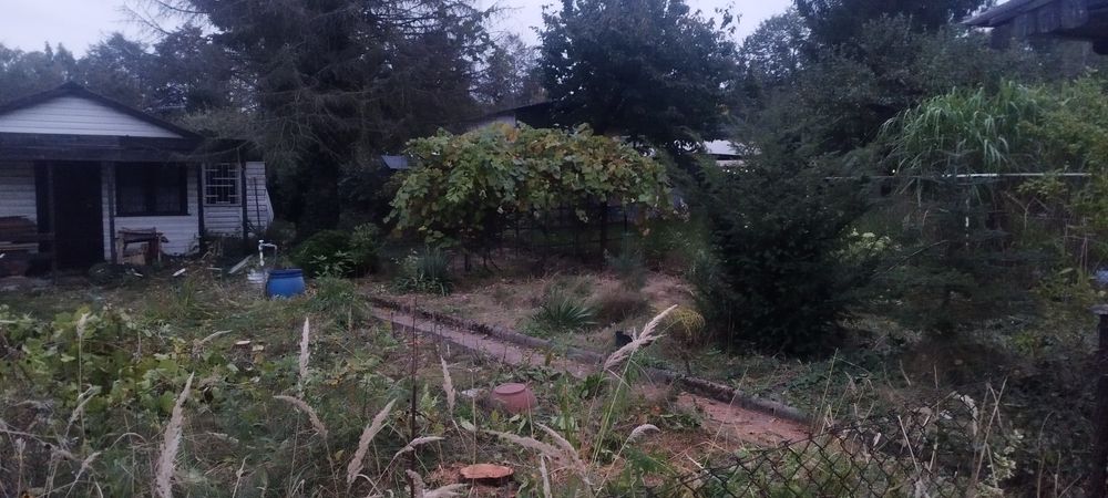 Oddam za Darmo Krawężniki chodnikowe