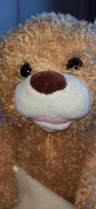 Дитяча інтерактивна іграшка Ведмедик Peekaboo Brown Bear