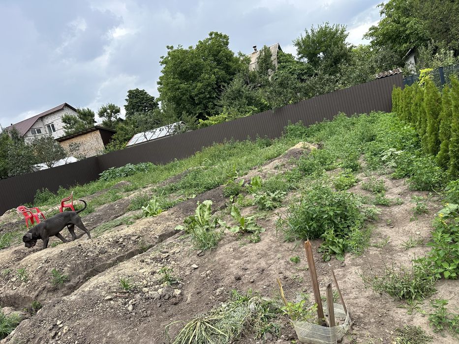 Догляну ваш двір: газон, автополив, рослини