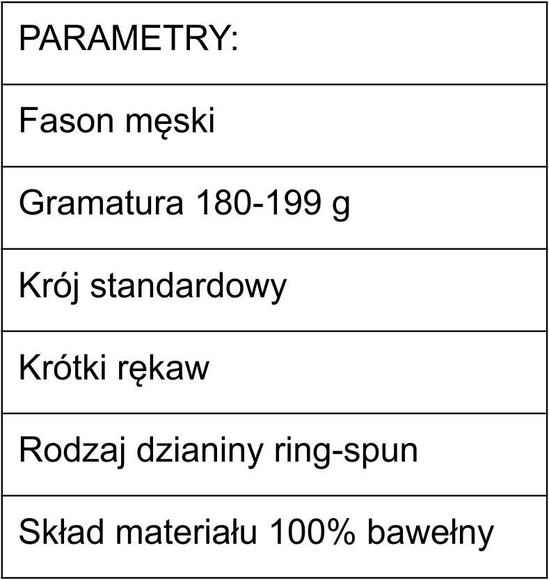 Koszulka Z Nadrukiem Grafiką Freestyle Hamburger Roz. Xxl