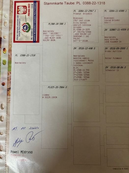 Para org Paweł Mędrysa linia 965 i arizona !!!