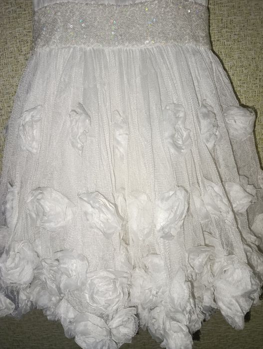 Білосніжна пишна сукня