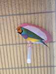 Vendo Diamantes Gould (criação directa)