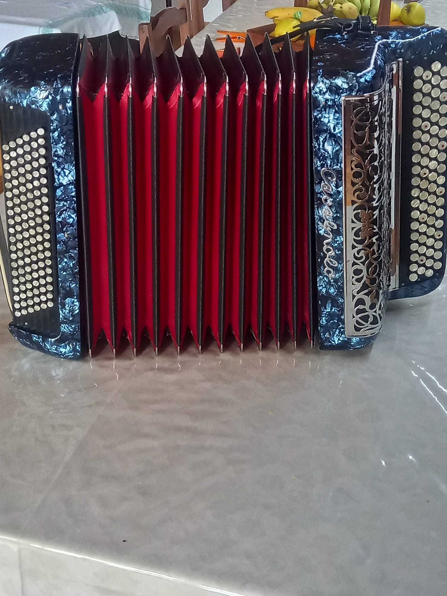 Acordeon Cavagnolo