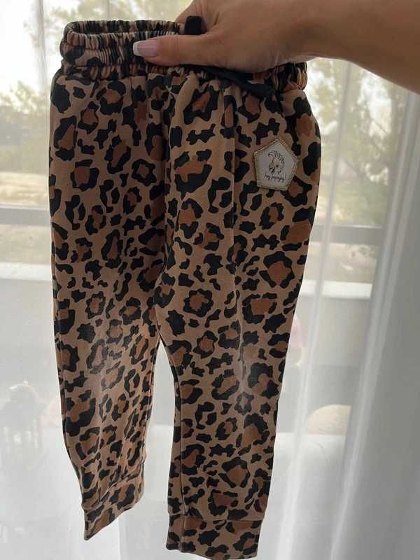 Komplet Hey Popinjay spodnie baggy 80/86 print animal na jesień Gepard