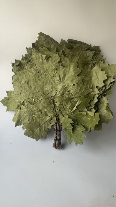 Witki do Sauny, Witkowanie w Saunie, Wenik Bania,