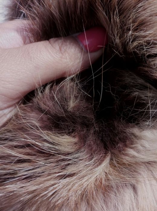 дубленка из натурального меха