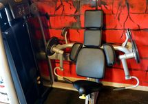 Maszyna na biceps Technogym Selection