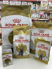 Royal Canin British Shorthair Adult 4кг