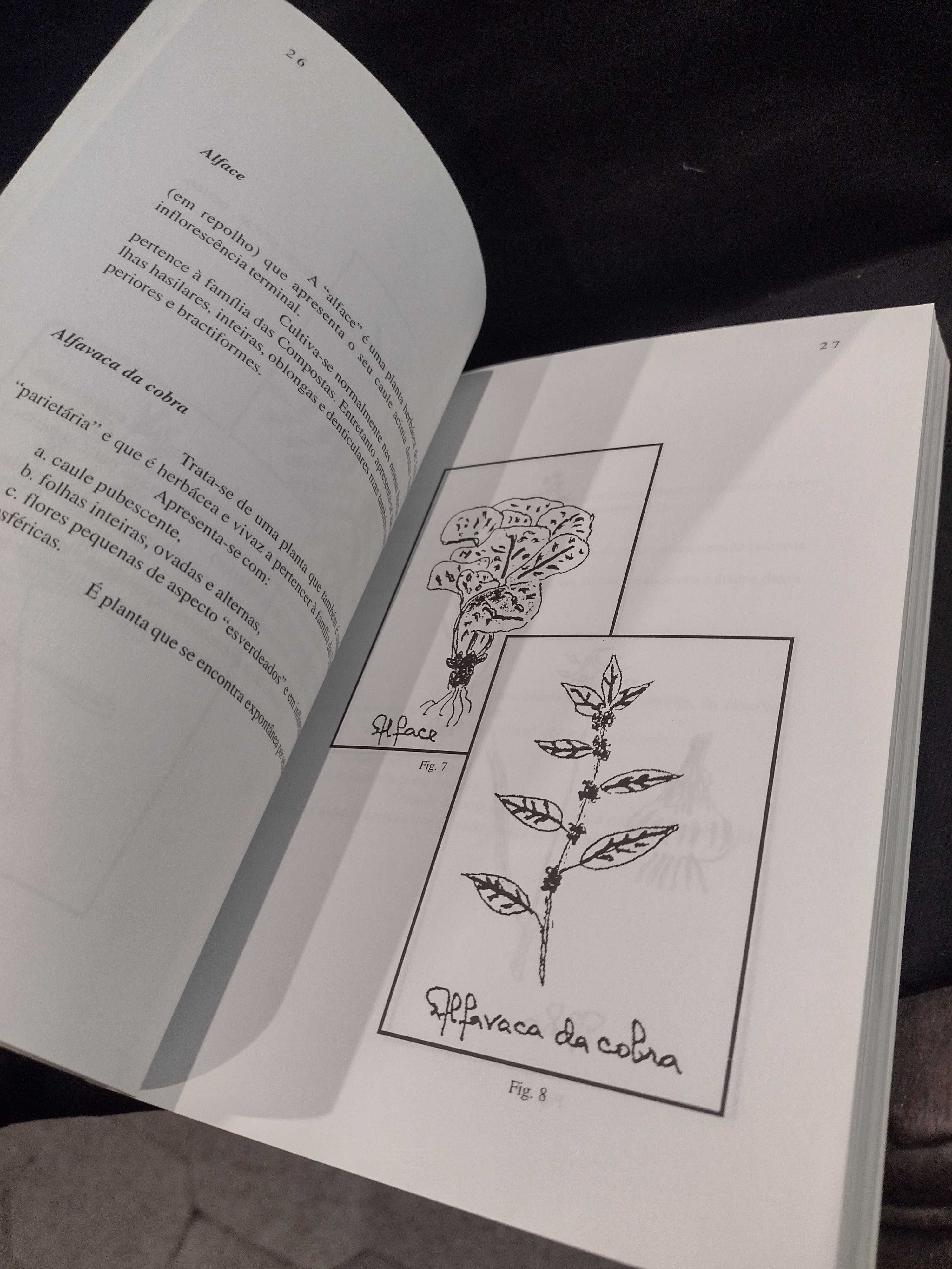 Plantas medicinais do Ribatejo - Luís António Vaz Tecedeiro (médico)