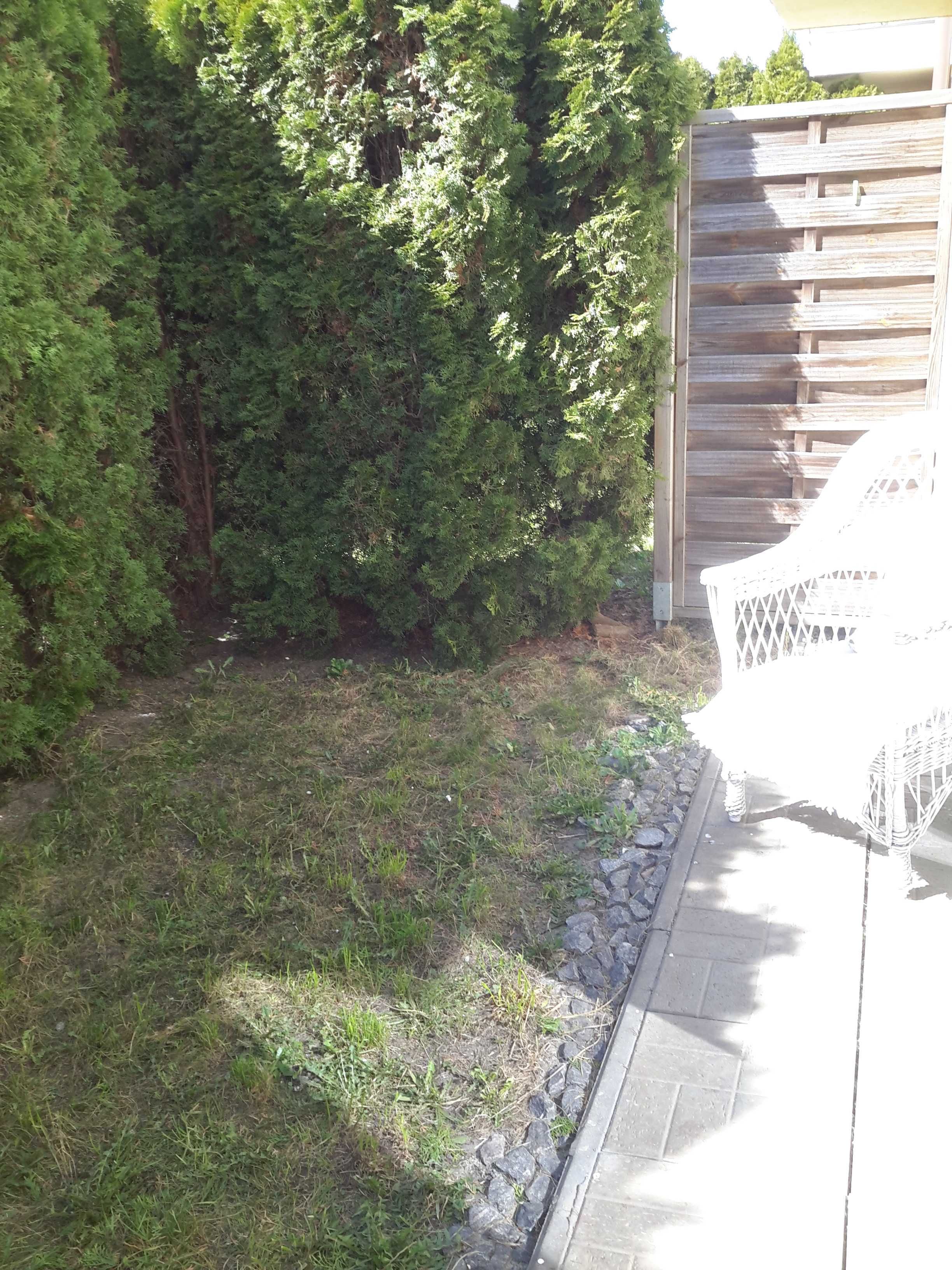Kawalerka z ogródkiem - sierpień