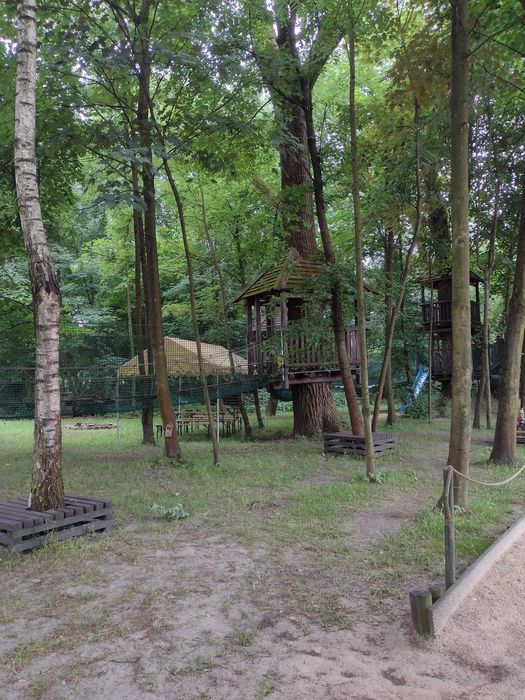 Park linowy do przejęcia - teren rekreacyjny/gastronomia