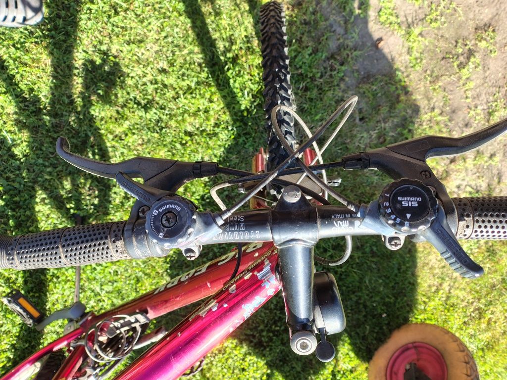 Rower MTB Big Fork