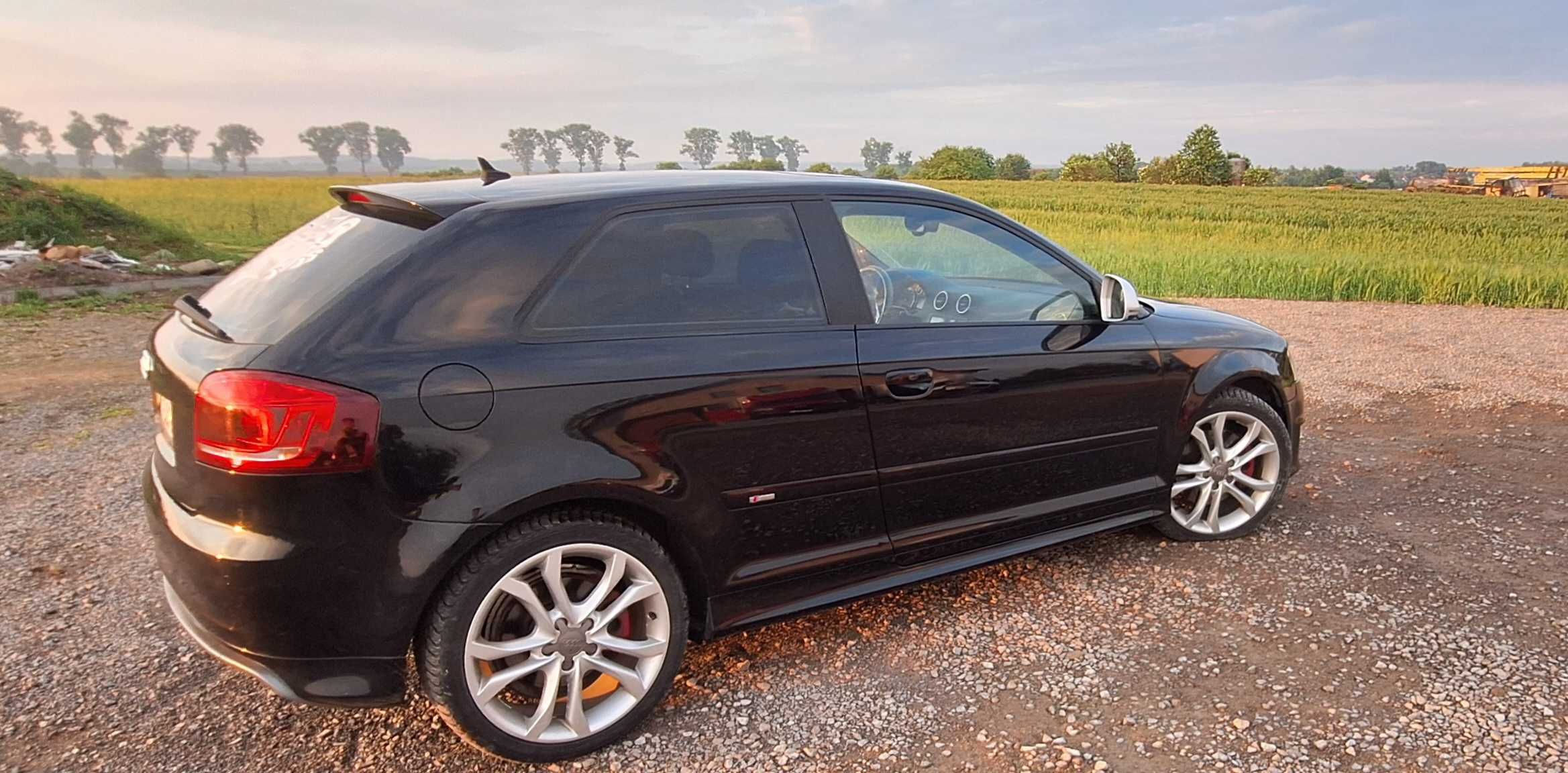 Audi A3 8P 2.0TFSI