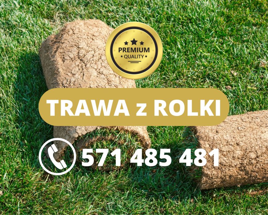 Trawa z rolki / Trawnik z rolki / PREMIUM + / transport